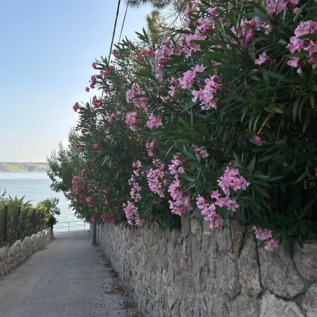 Nadalina Starigrad Paklenica
